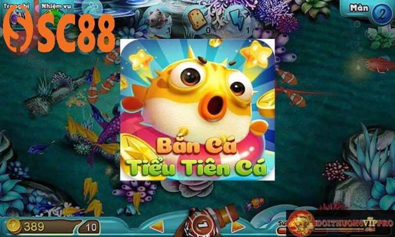Tham gia bắn cá tiểu tiên cá tại SC88 nhanh chóng