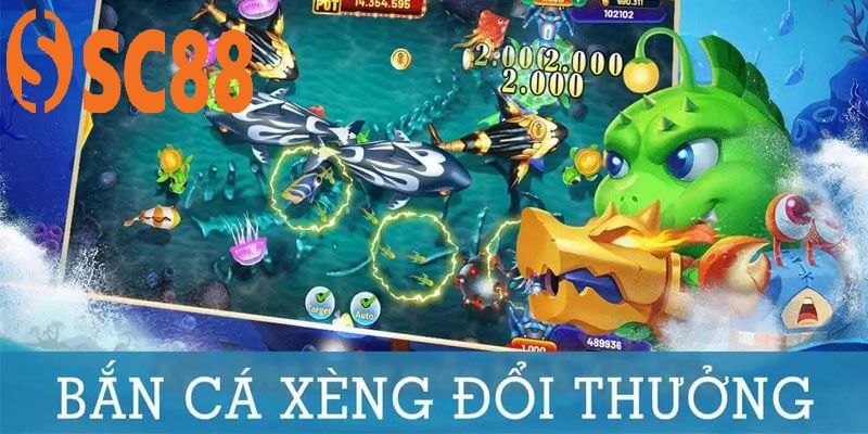 Để ý thời gian hoàn thành nhiệm vụ khi săn cá