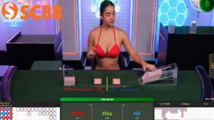 Sở hữu bí kíp vàng để thắng cược Dragon Tiger